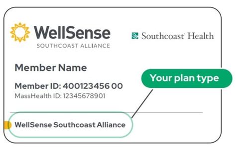 wellsense health plan|wellsense health plan website.